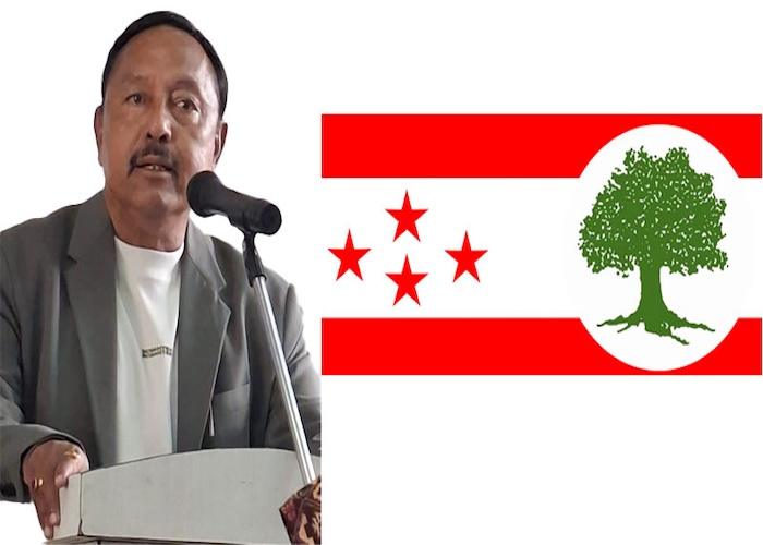 A man speaking at a podium with a political flag featuring a tree and stars in the background.